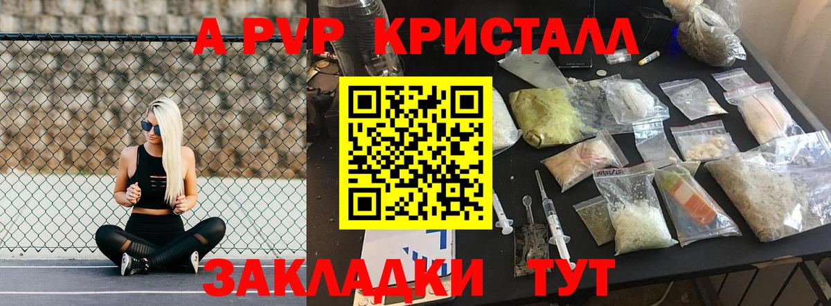 Alfa_PVP СК КРИС Шали