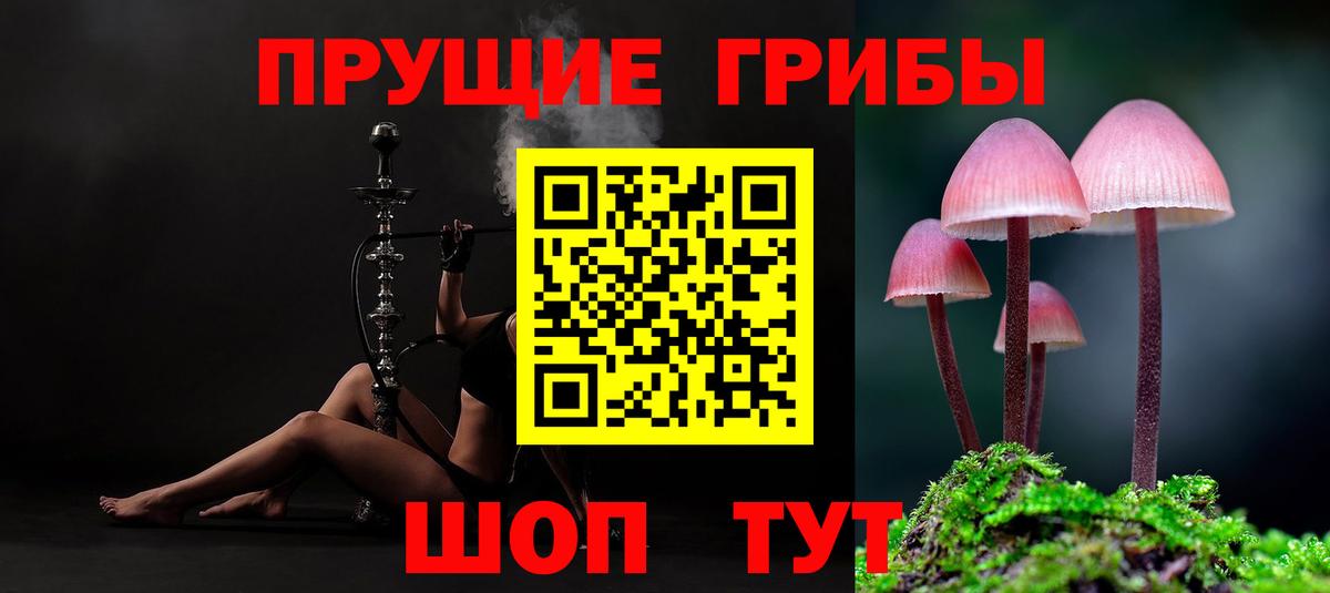Шали  Псилоцибиновые грибы Psilocybine cubensis  Вход с VPN  Псилоцибиновые грибы мицелий 